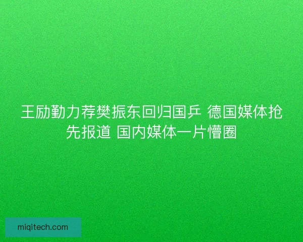 王励勤力荐樊振东回归国乒 德国媒体抢先报道 国内媒体一片懵圈